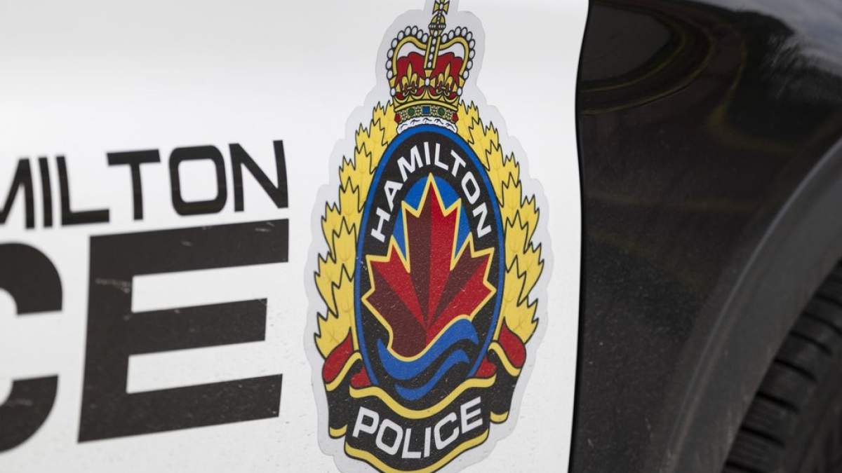 Six puppies ‘in distress’ rescued by police in Hamilton