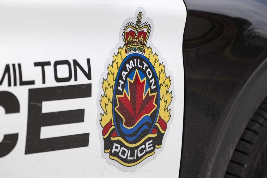 Six puppies ‘in distress’ rescued by police in Hamilton