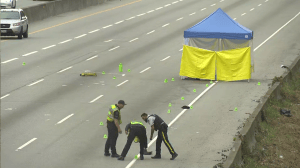 Police on Highway 1 after a man's body was found on the highway.