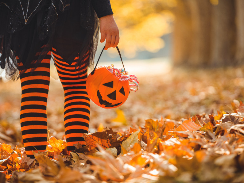 The Curator: 2026 halloween costumes you can still get in time