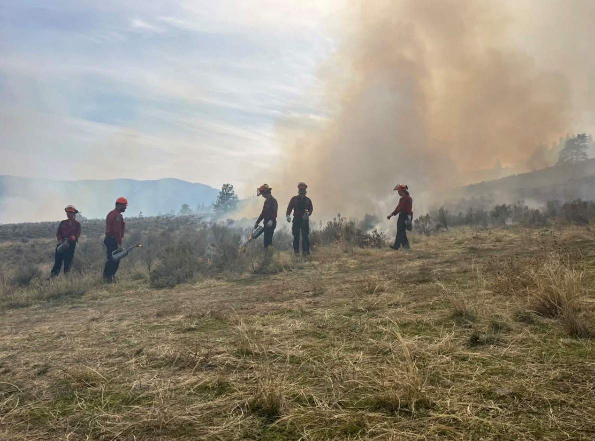 Indigenous cultural burn near Osoyoos revives traditional fire stewardship