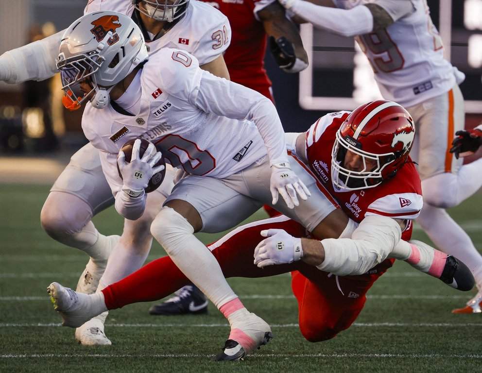 Stampeders stay in playoff hunt, beat Lions 32-13