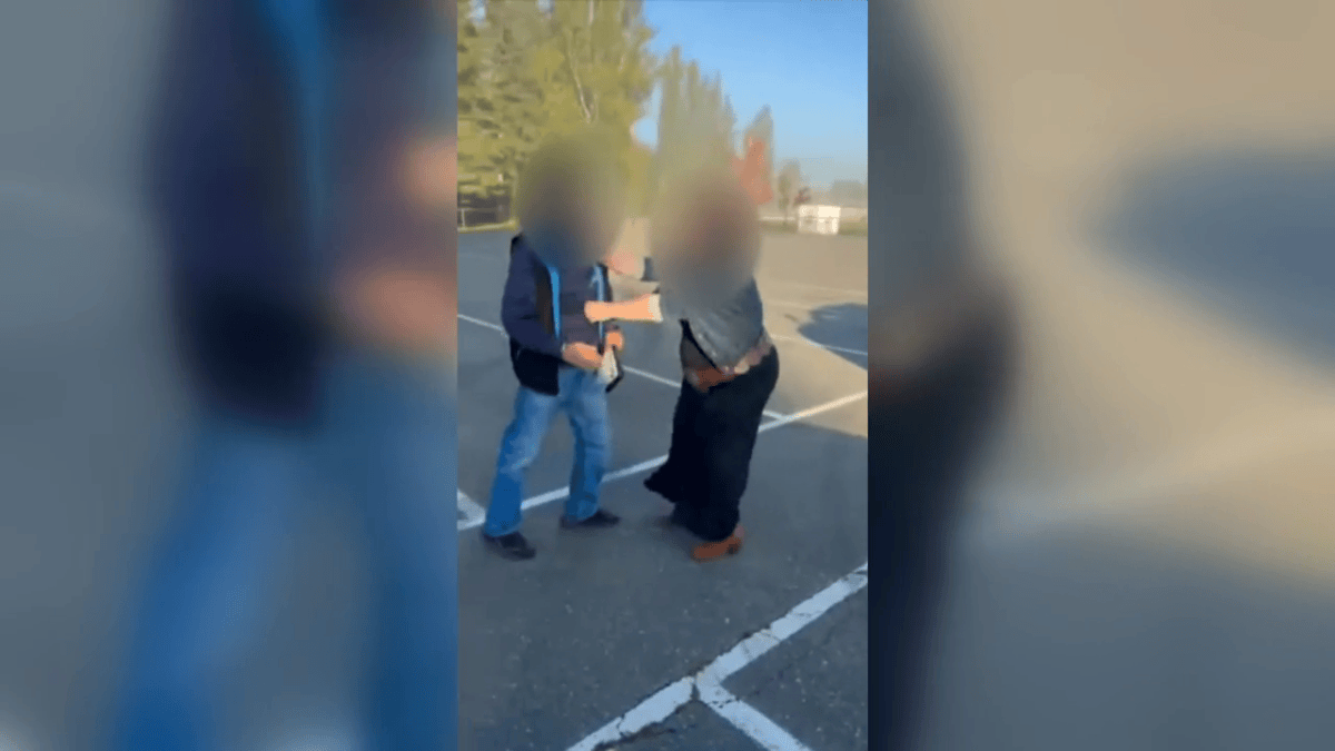 Video captures woman allegedly assaulting driving instructor in Langley