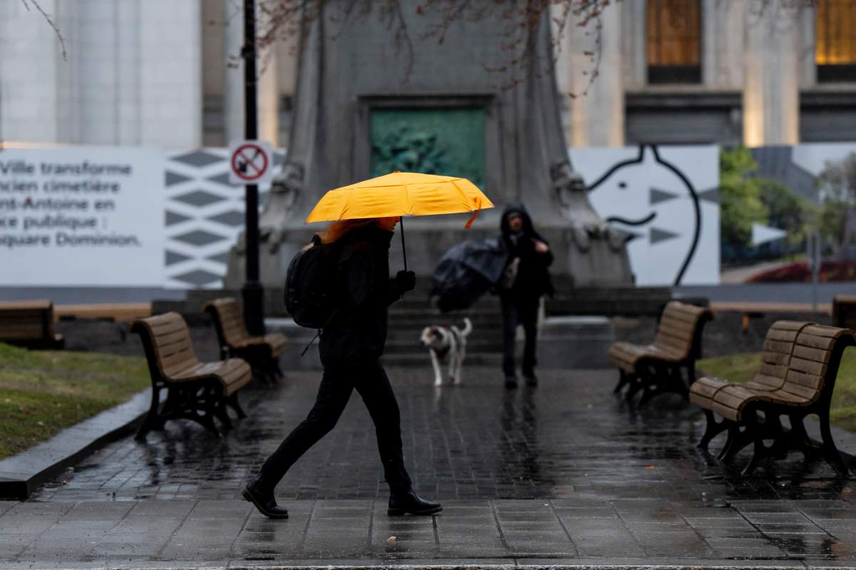 People use umbrellas as it rains in Montreal on Thursday, April 16, 2026. 