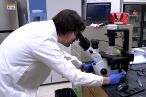 USask's Dr. Tyler Wenzel is researching stem cell transplants to help kids avoid risky and painful treatments for rare pediatric diseases.