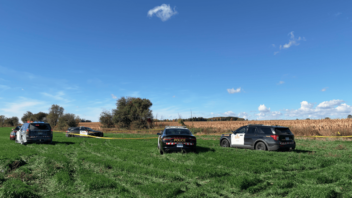 2 dead after plane crash, fire near Fergus, Ont.