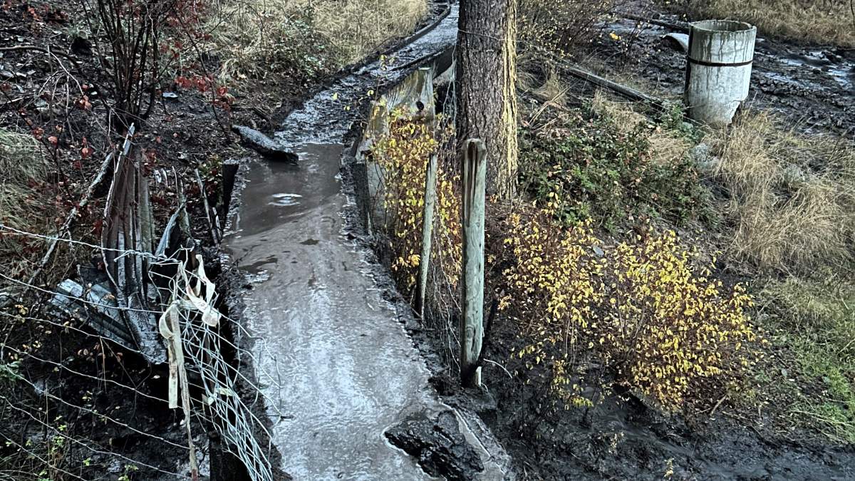 Summerland landslides raise concerns after wildfire leaves slopes vulnerable