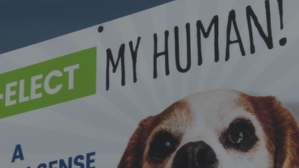 Some candidates are using unconventional methods to get noticed.